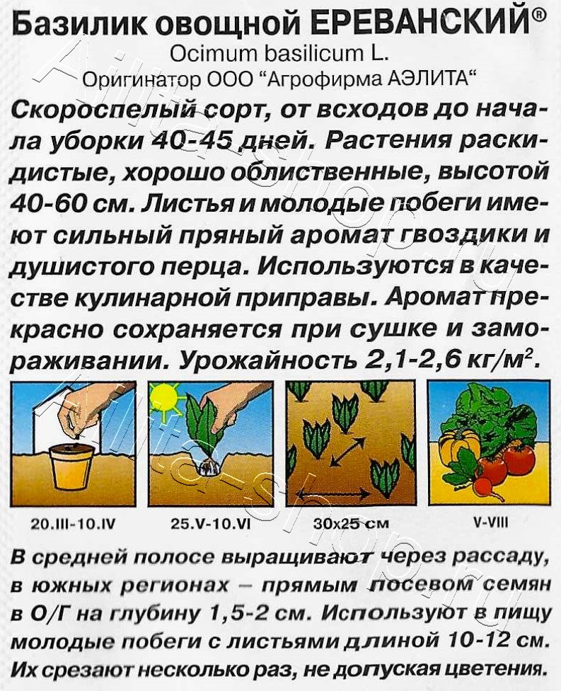 Базилик овощной Ереванский 0,2г