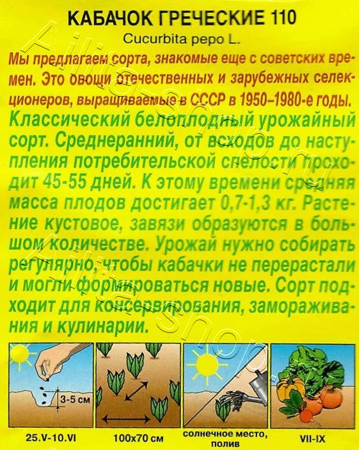 Кабачок белоплодный Греческие 110 1г