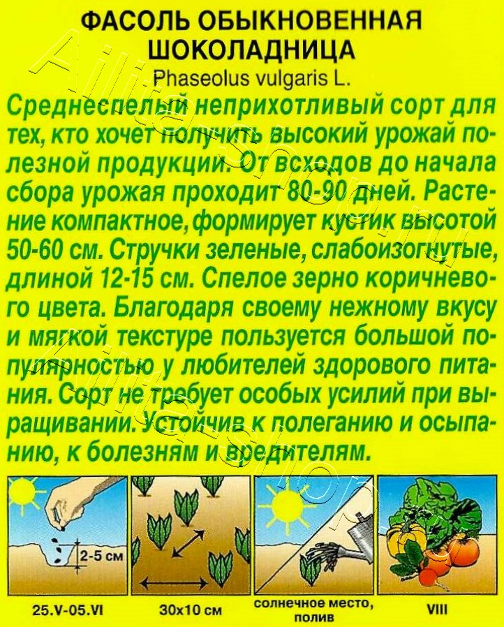 Фасоль обыкновенная Шоколадница 5г