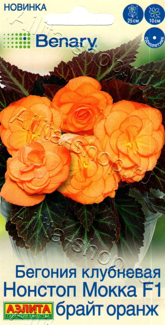 Бегония клубневая Нонстоп мокка F1 брайт оранж 5шт