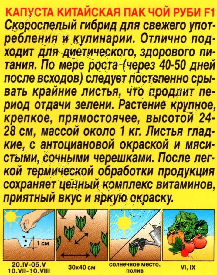 Капуста китайская Пак чой руби F1 10шт