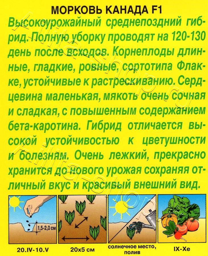 Морковь Канада F1 150шт