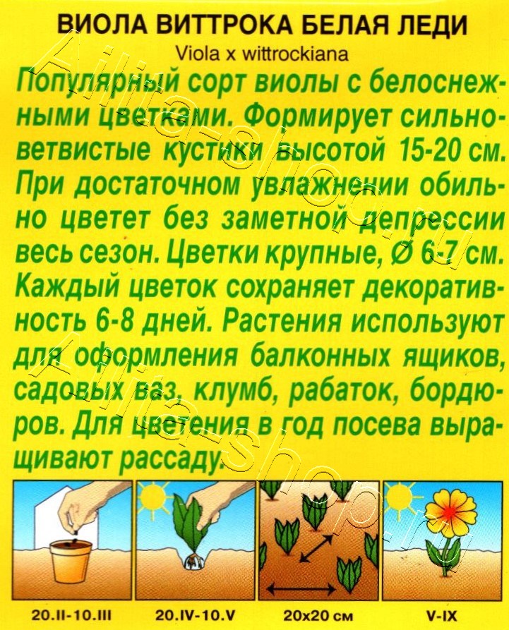 Виола Белая леди 0,1г