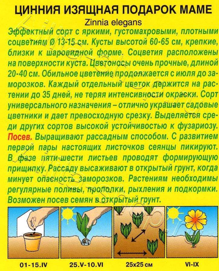 Цинния Подарок маме 0,3г