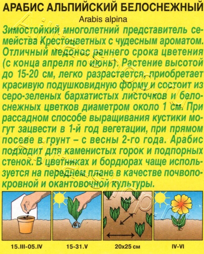 Арабис альпийский Белоснежный 0,05г