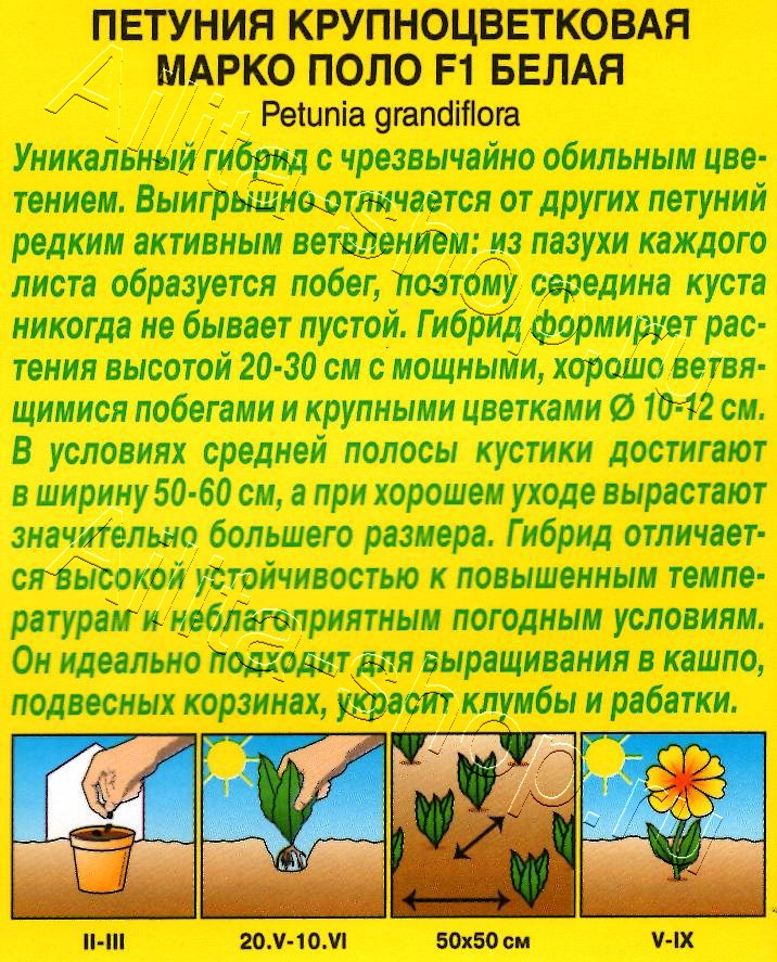Петуния Марко Поло F1 белая 7шт