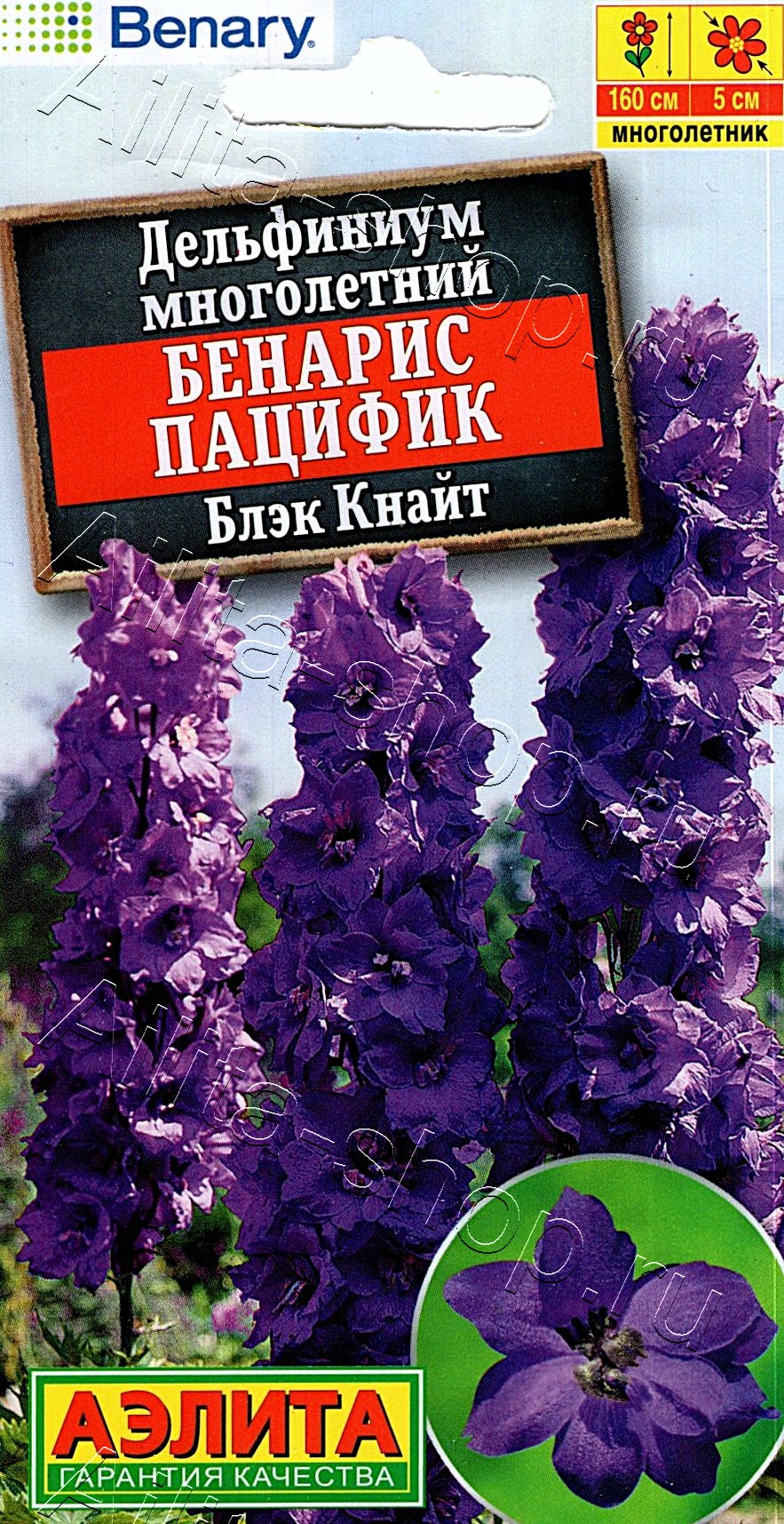 Дельфиниум Бенарис пацифик блэк кнайт 10шт