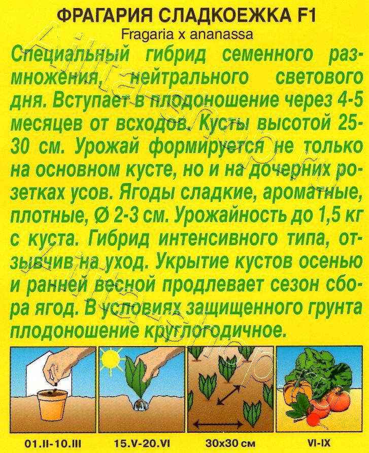 Земляника ремонтантная крупноплодная Сладкоежка F1 10шт