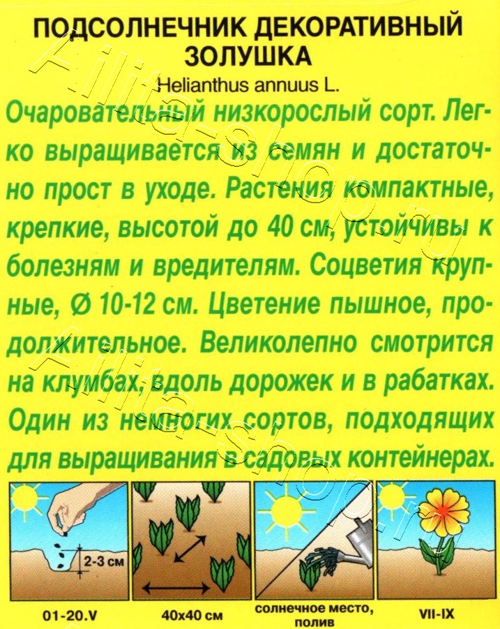Подсолнечник Золушка 0,5г