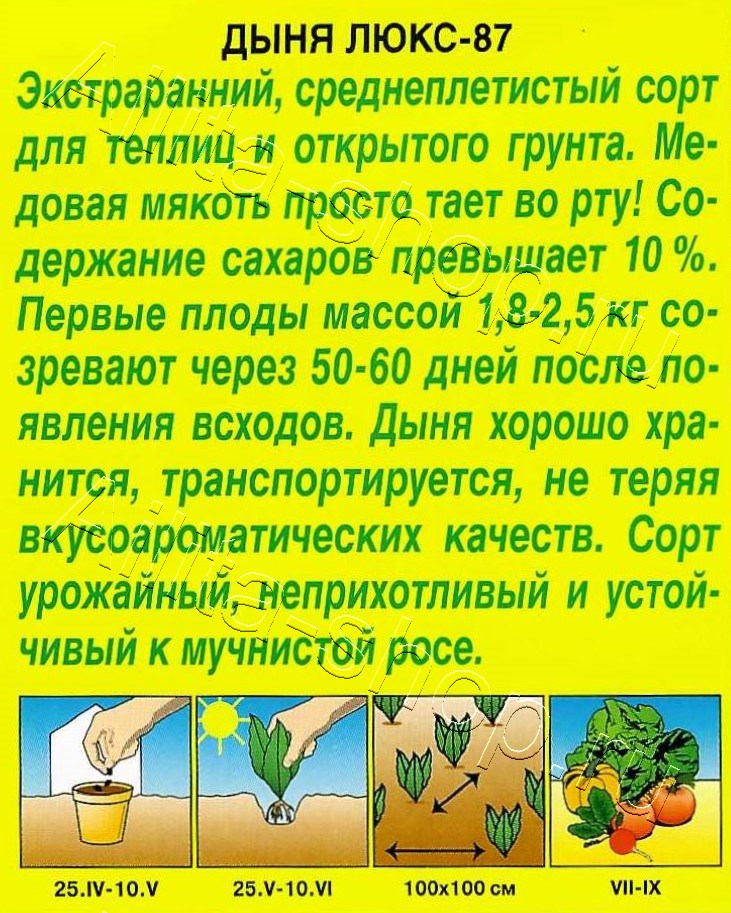 Дыня Люкс-87 1г