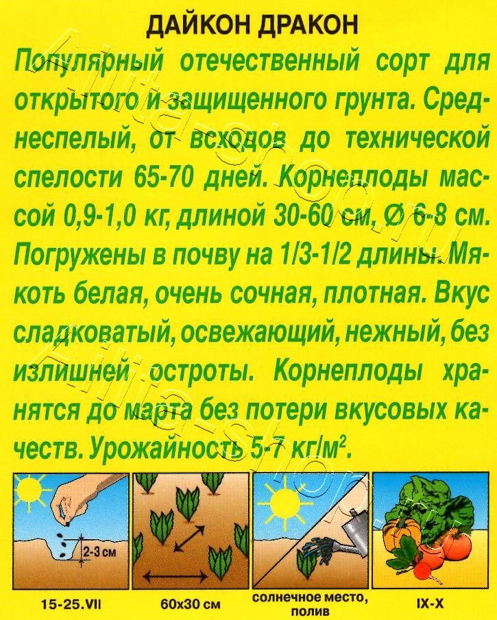 Дайкон Дракон 1г