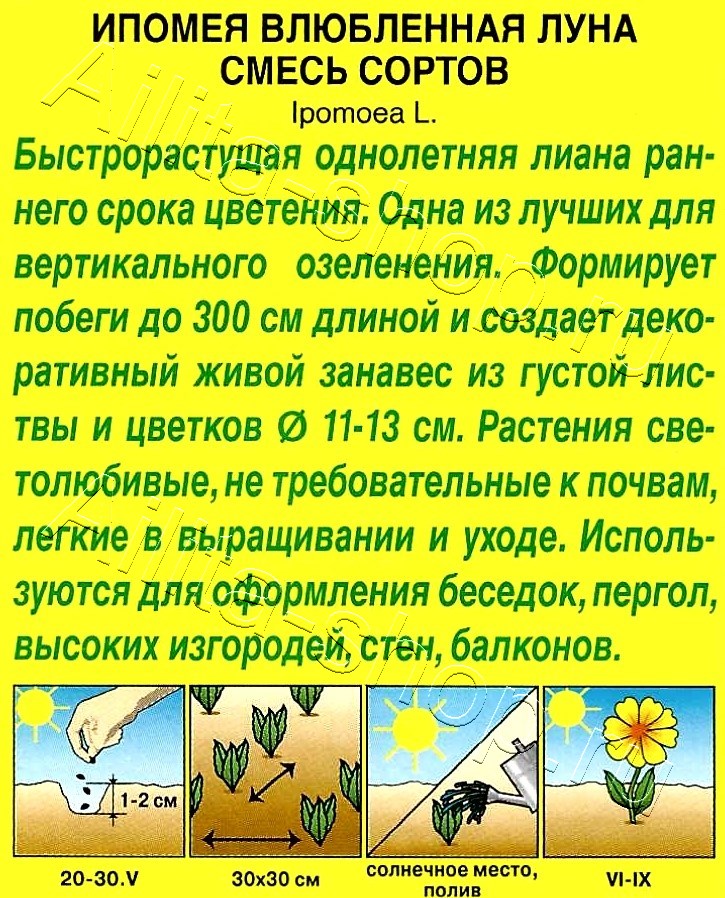 Ипомея Влюбленная луна, смесь окрасок 0,5г