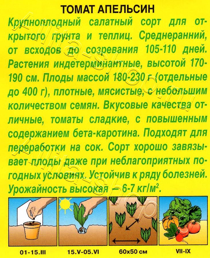 Томат Апельсин 20шт