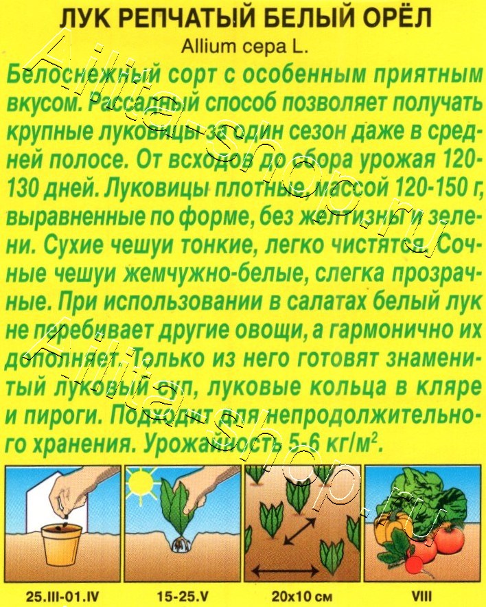 Лук репчатый Белый орёл 0,5г