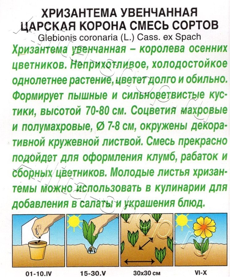 Хризантема махровая Царская корона, смесь сортов 0,2г