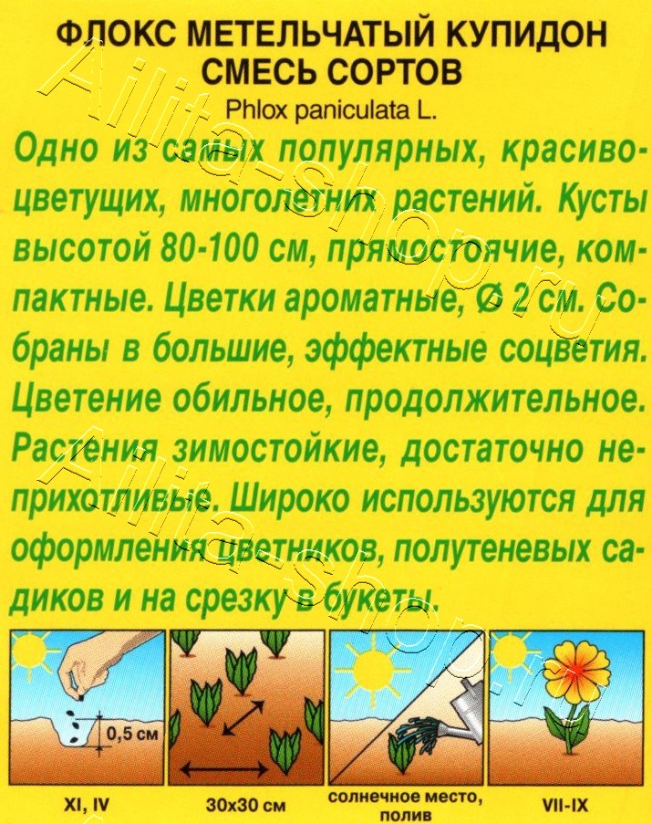 Флокс метельчатый Купидон, смесь окрасок 0,1г