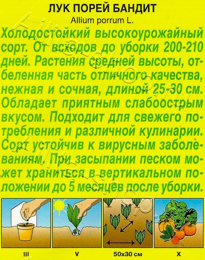 Лук порей Бандит 0,5г