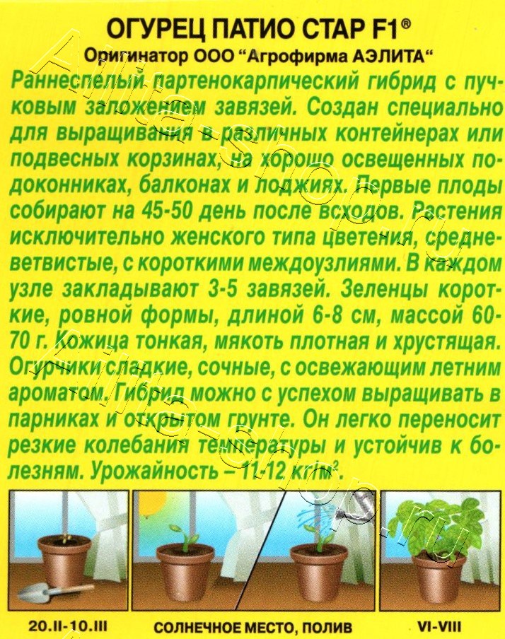 Огурец Патио стар F1 5шт