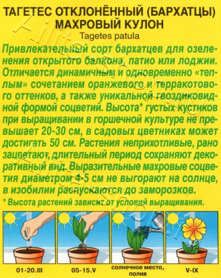 Бархатцы Махровый кулон отклоненные 0,3г