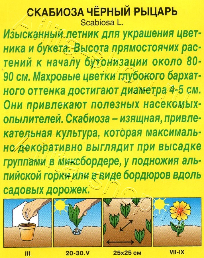 Скабиоза Черный рыцарь 0,1г