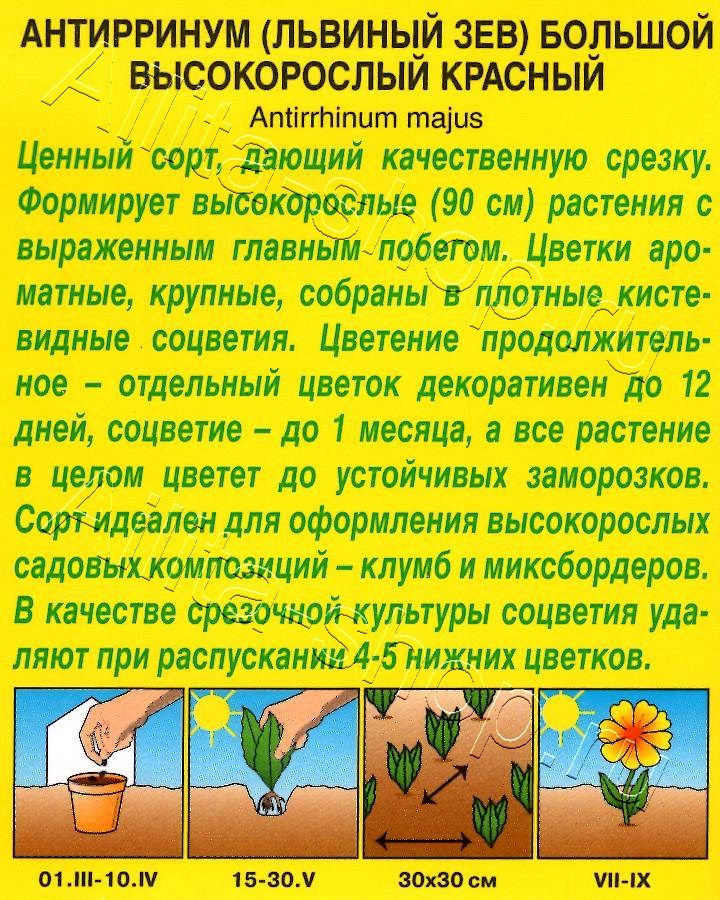 Львиный зев Высокорослый красный 0,1г