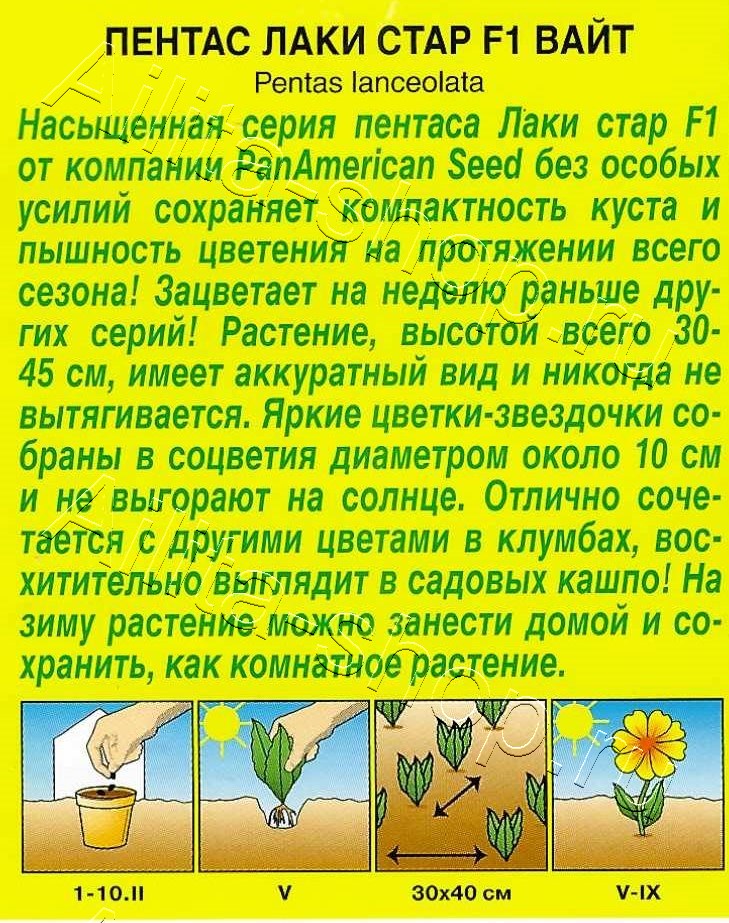 Пентас Лаки стар F1 вайт 3шт