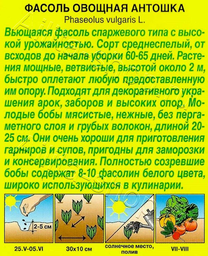 Фасоль овощная Антошка 5г