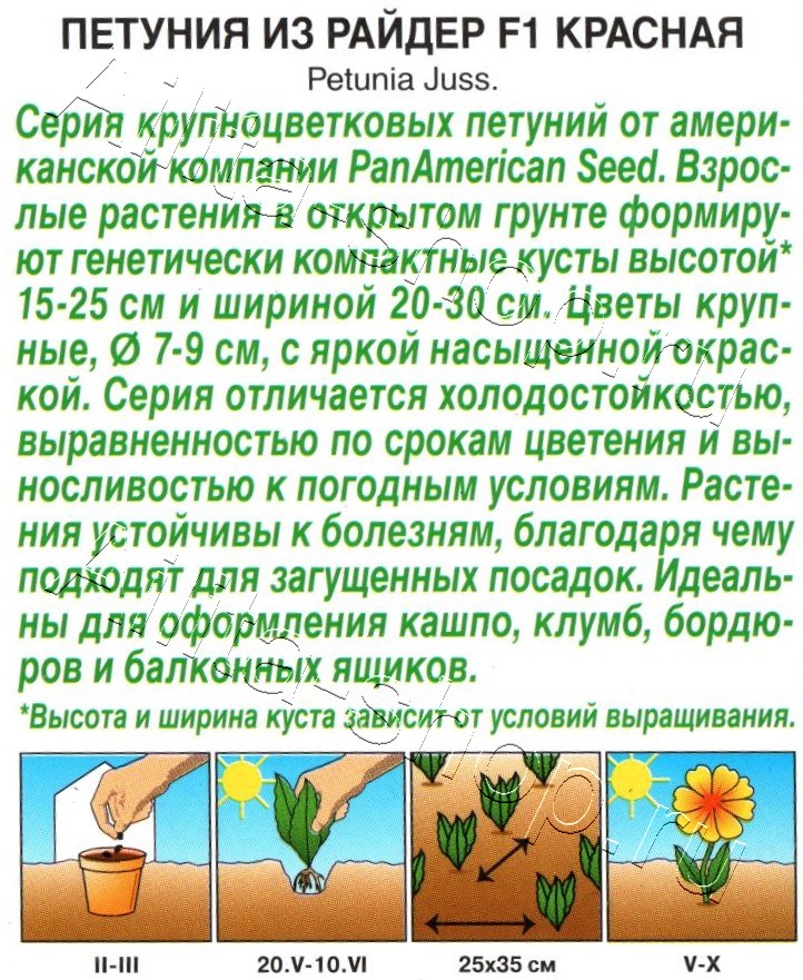 Петуния Из райдер F1 красная 7шт