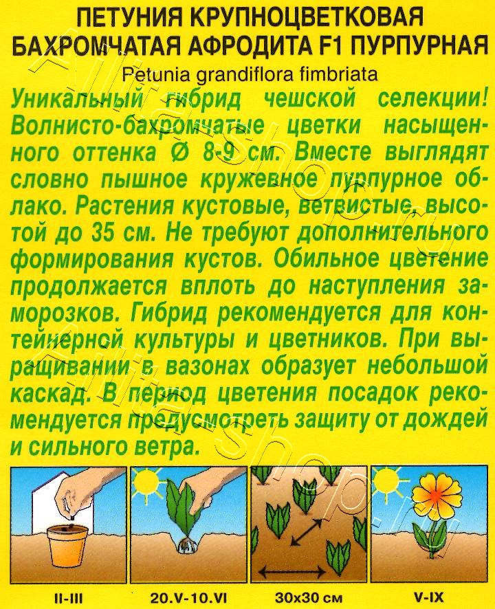 Петуния Афродита F1 пурпурная крупноцветковая бахромчатая 7шт