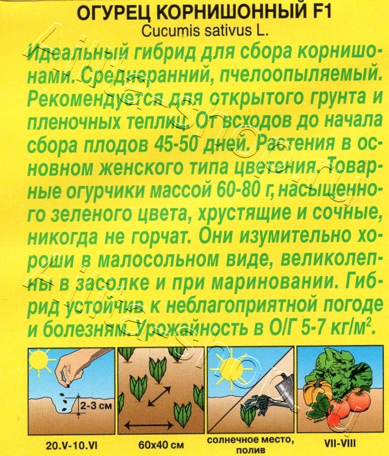 Огурец Корнишонный F1 10шт