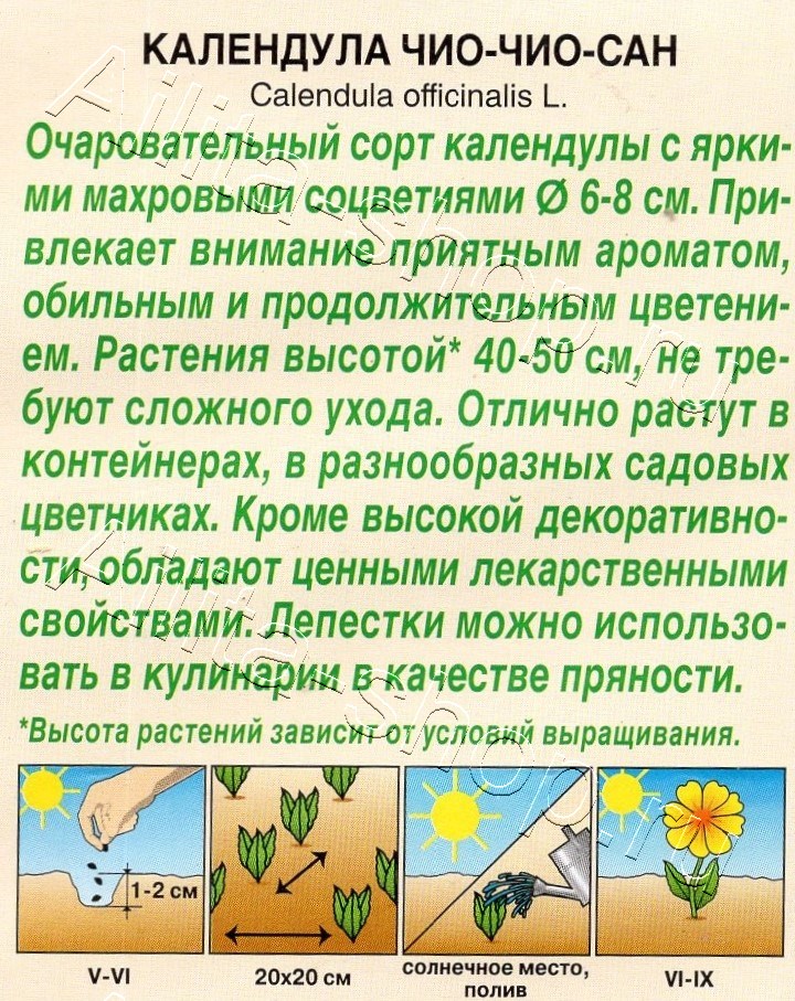 Календула Чио-Чио-сан 0,3г