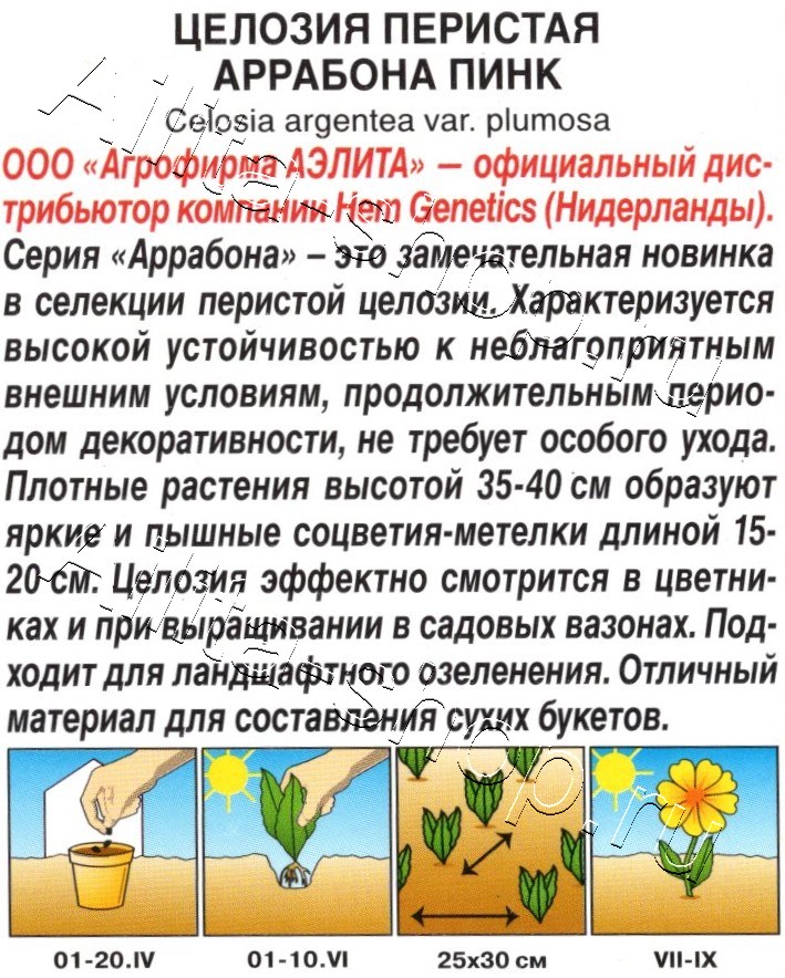 Целозия перистая Аррабона пинк 7шт