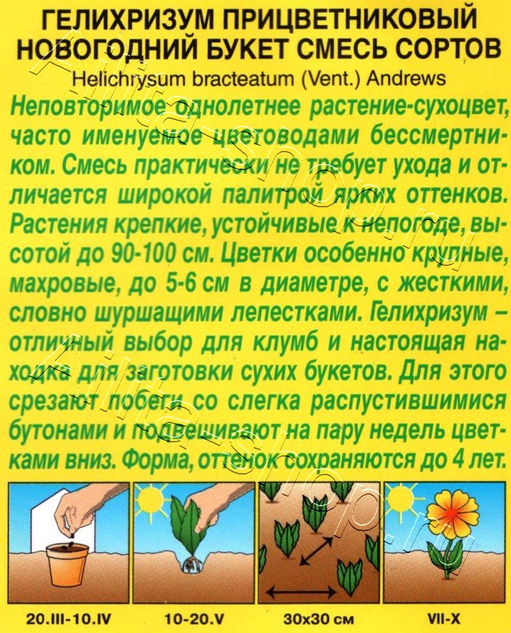 Гелихризиум Новогодний букет, смесь сортов 0,3г