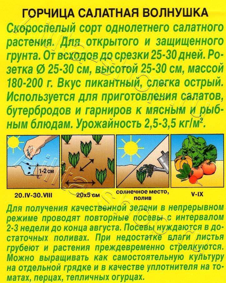 Горчица салатная Волнушка 0,5г