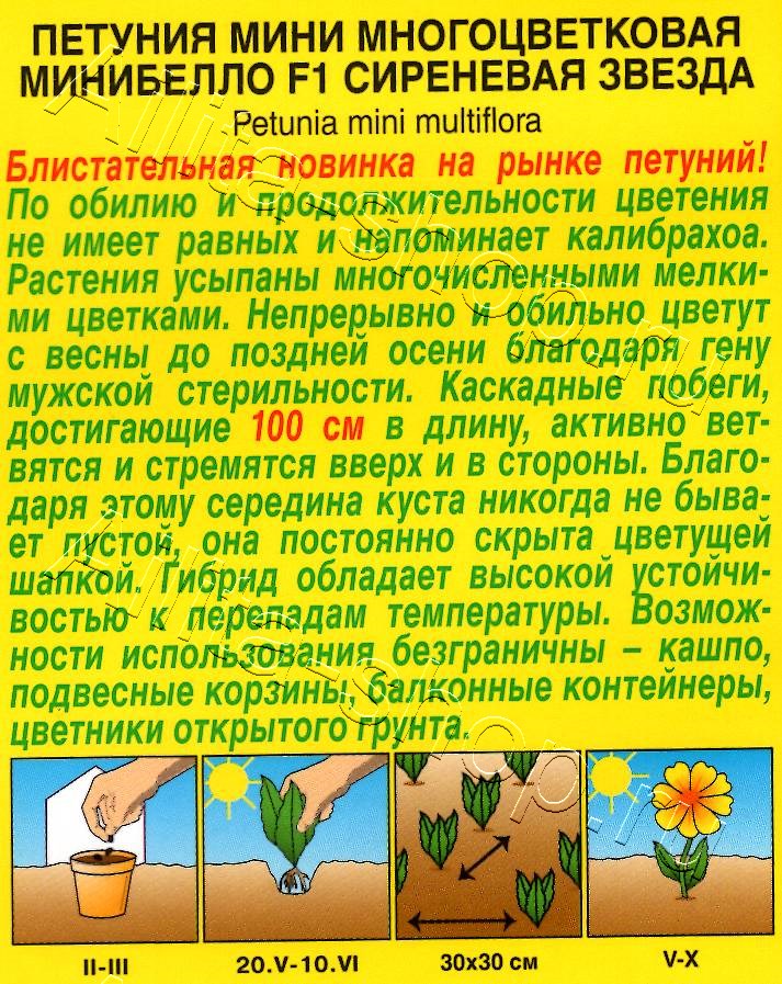 Петуния мини Минибелло F1 сиреневая звезда многоцветковая 5шт