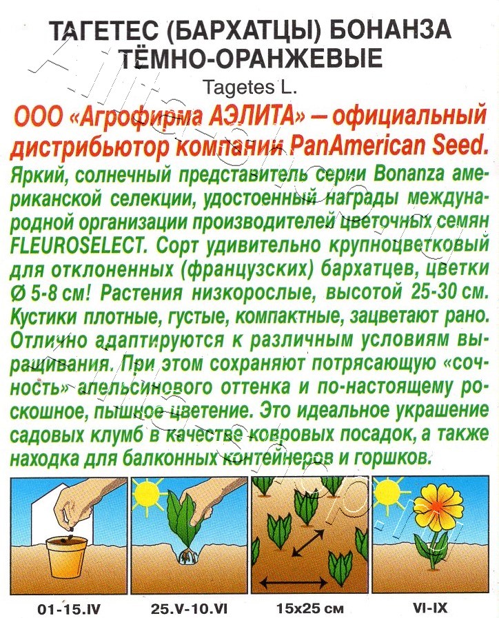 Бархатцы Бонанза темно-оранжевые 7шт