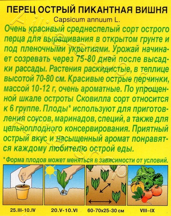 Перец острый Пикантная вишня 10шт