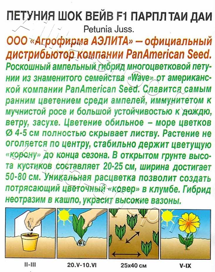 Петуния Шок вейв F1 парпл таи даи 4шт