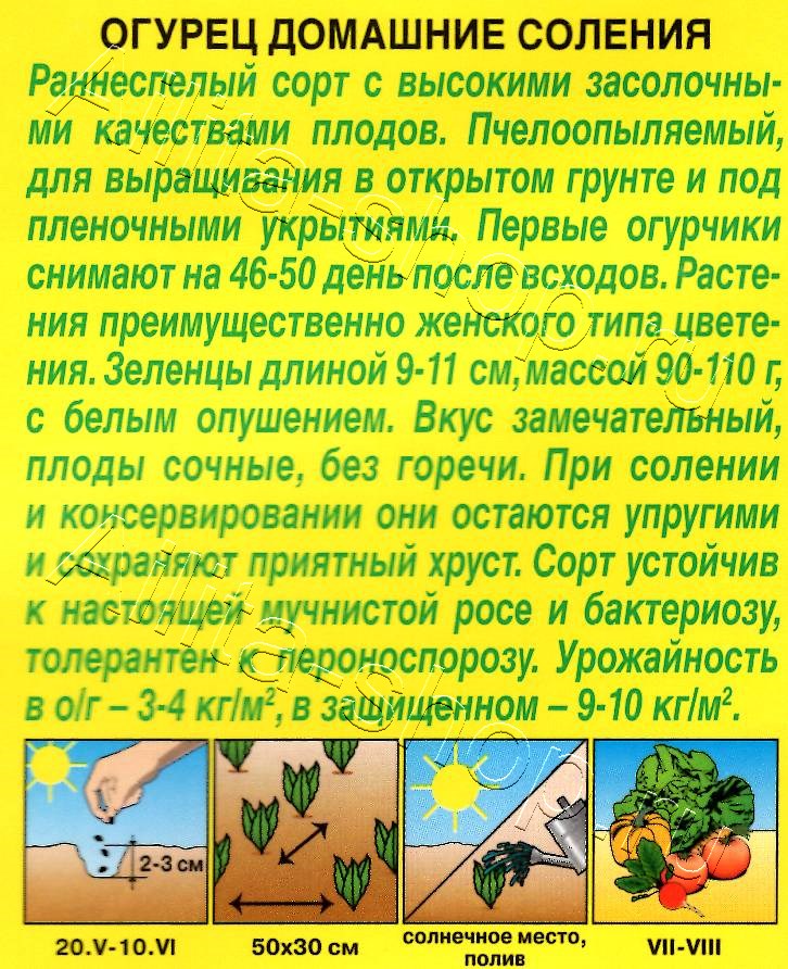 Огурец Домашние соления 20шт