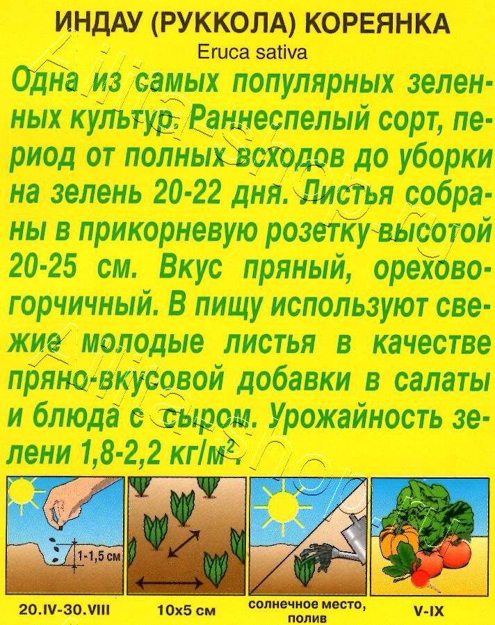 Индау (руккола) Кореянка 0,3г