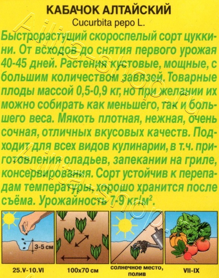 Кабачок цуккини Алтайский 1г