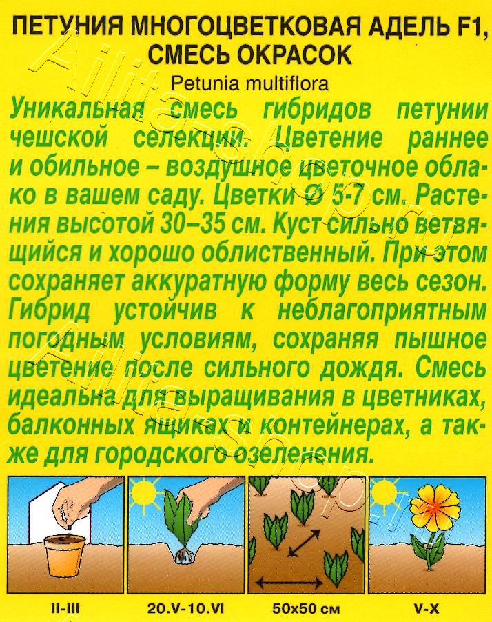 Петуния Адель F1 многоцветковая, смесь окрасок 7шт