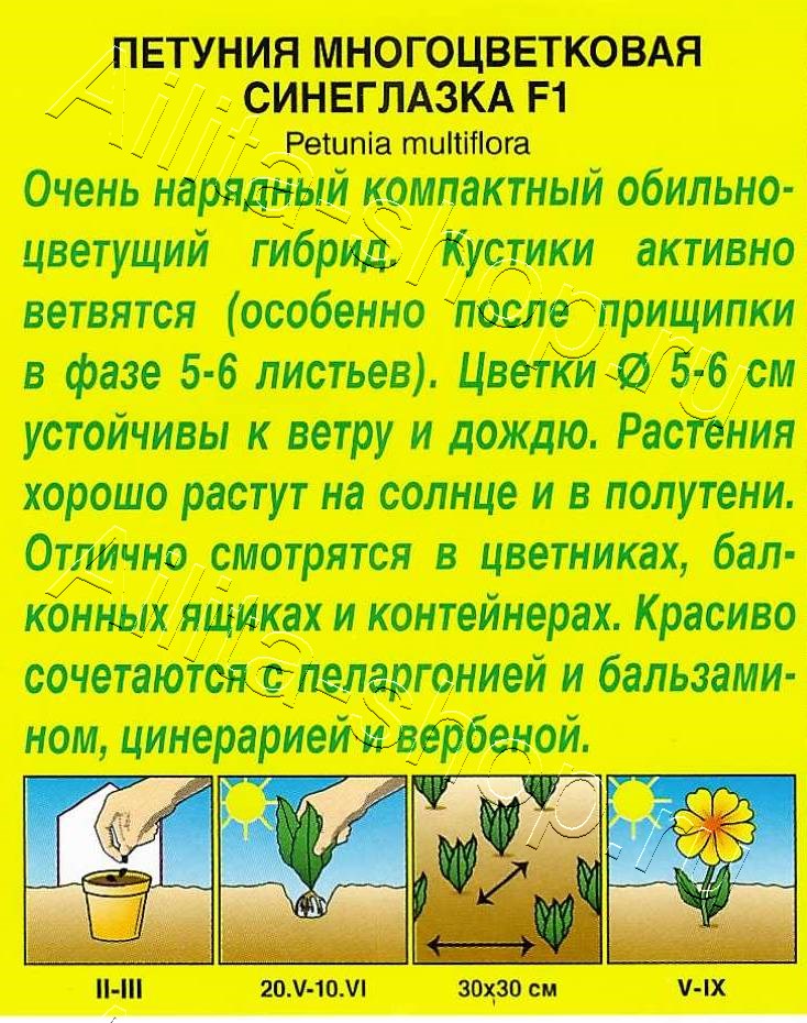 Петуния Синеглазка F1 многоцветковая 7шт