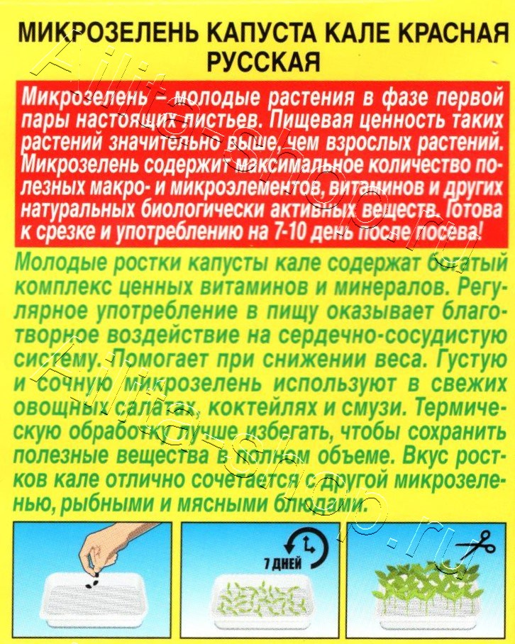 Микрозелень Капуста кале Красная русская 3г
