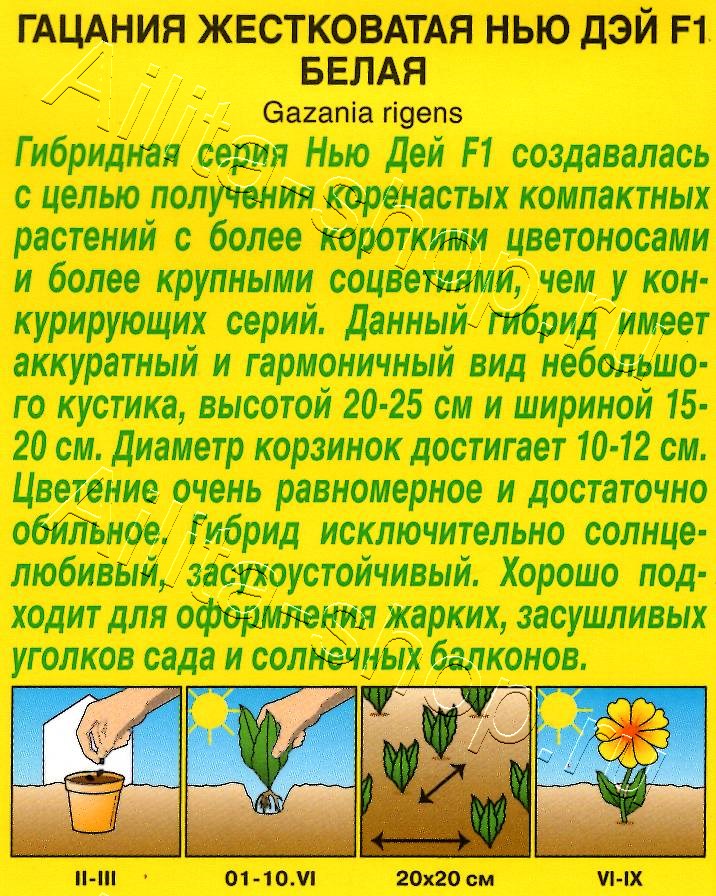 Гацания Нью Дэй F1 белая 4шт