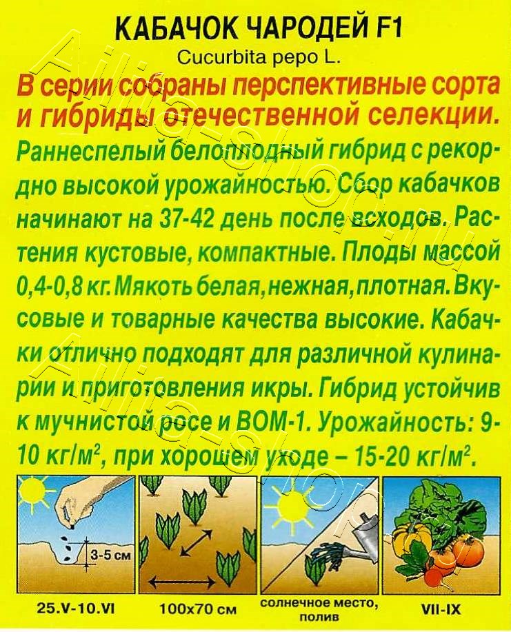 Кабачок белоплодный Чародей F1 1г