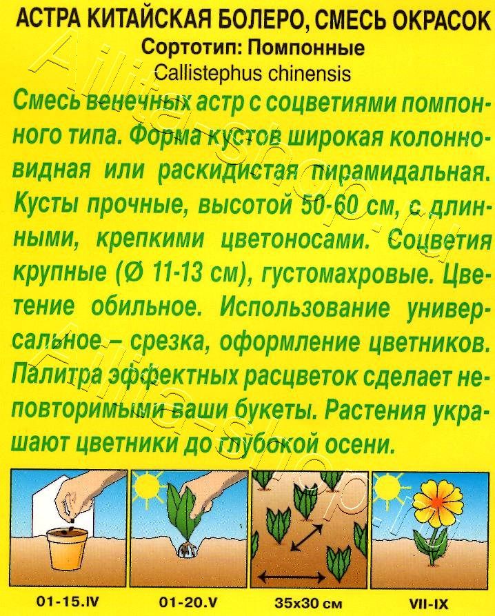 Астра Болеро, смесь окрасок 0,2г