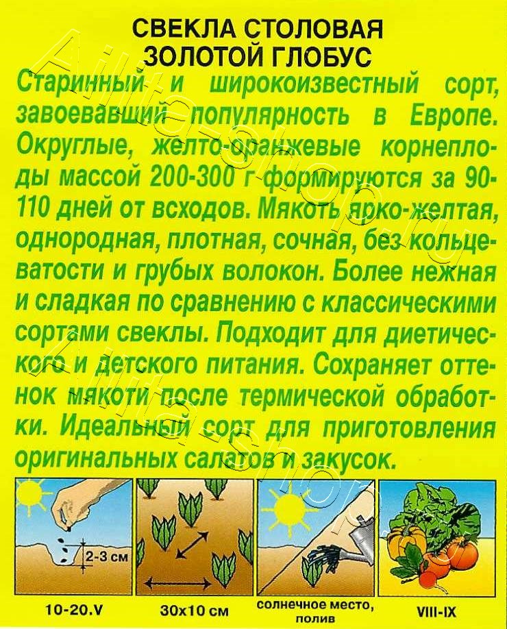 Свекла столовая Золотой глобус 20шт