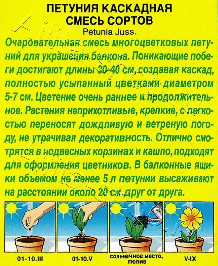 Петуния Каскадная, смесь сортов 0,05г