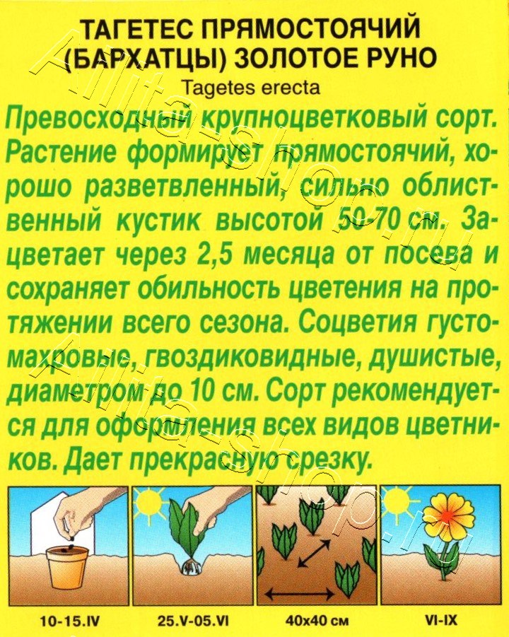 Бархатцы Золотое руно прямостоячие 0,3г